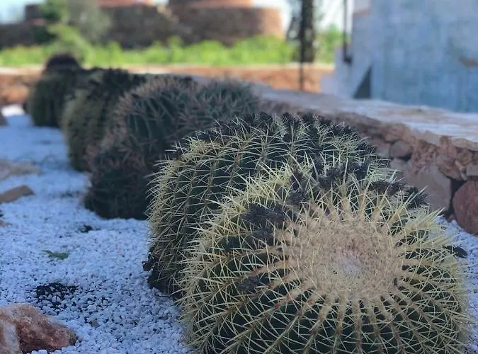 Lumiere * 帕拉比塔